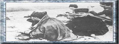 Atat�rk Resimleri - 78 fotograflar�