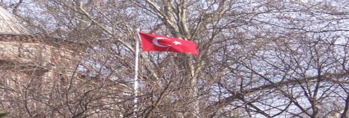 T�rk Bayraklar� - 7 fotograflar�