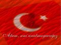 T�rk Bayraklar� resimleri fotolar� fotograflar�T�rk Bayraklar� - 12