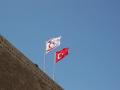 T�rk Bayraklar� resimleri fotolar� fotograflar�T�rk Bayraklar� - 39