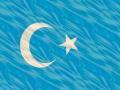 T�rk Bayraklar� resimleri fotolar� fotograflar�T�rk Bayraklar� - 26