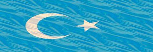 T�rk Bayraklar� - 26 fotograflar�