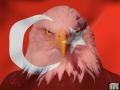 T�rk Bayraklar� resimleri fotolar� fotograflar�T�rk Bayraklar� - 38